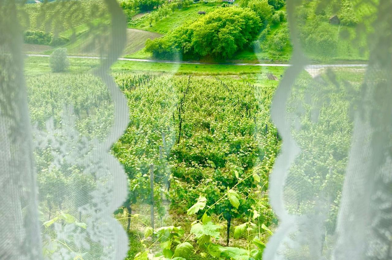 Wine Paradise Sveti Ivan Zelina Eksteriør billede