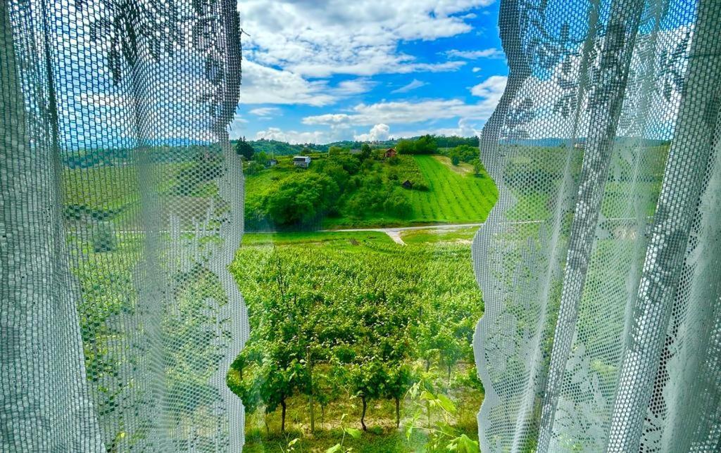 Wine Paradise Sveti Ivan Zelina Eksteriør billede