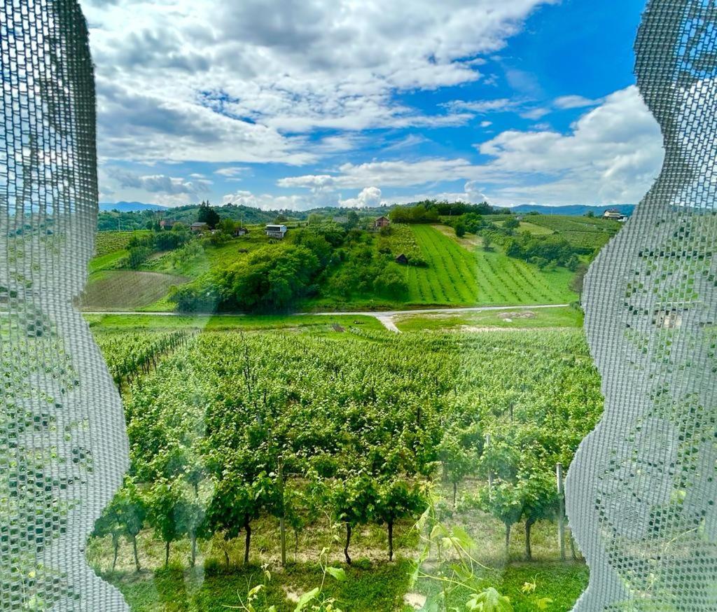 Wine Paradise Sveti Ivan Zelina Eksteriør billede