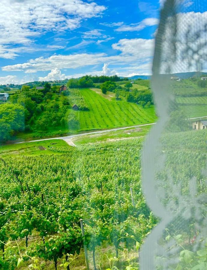 Wine Paradise Sveti Ivan Zelina Eksteriør billede
