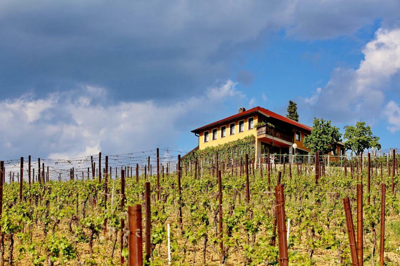 Wine Paradise Sveti Ivan Zelina Eksteriør billede