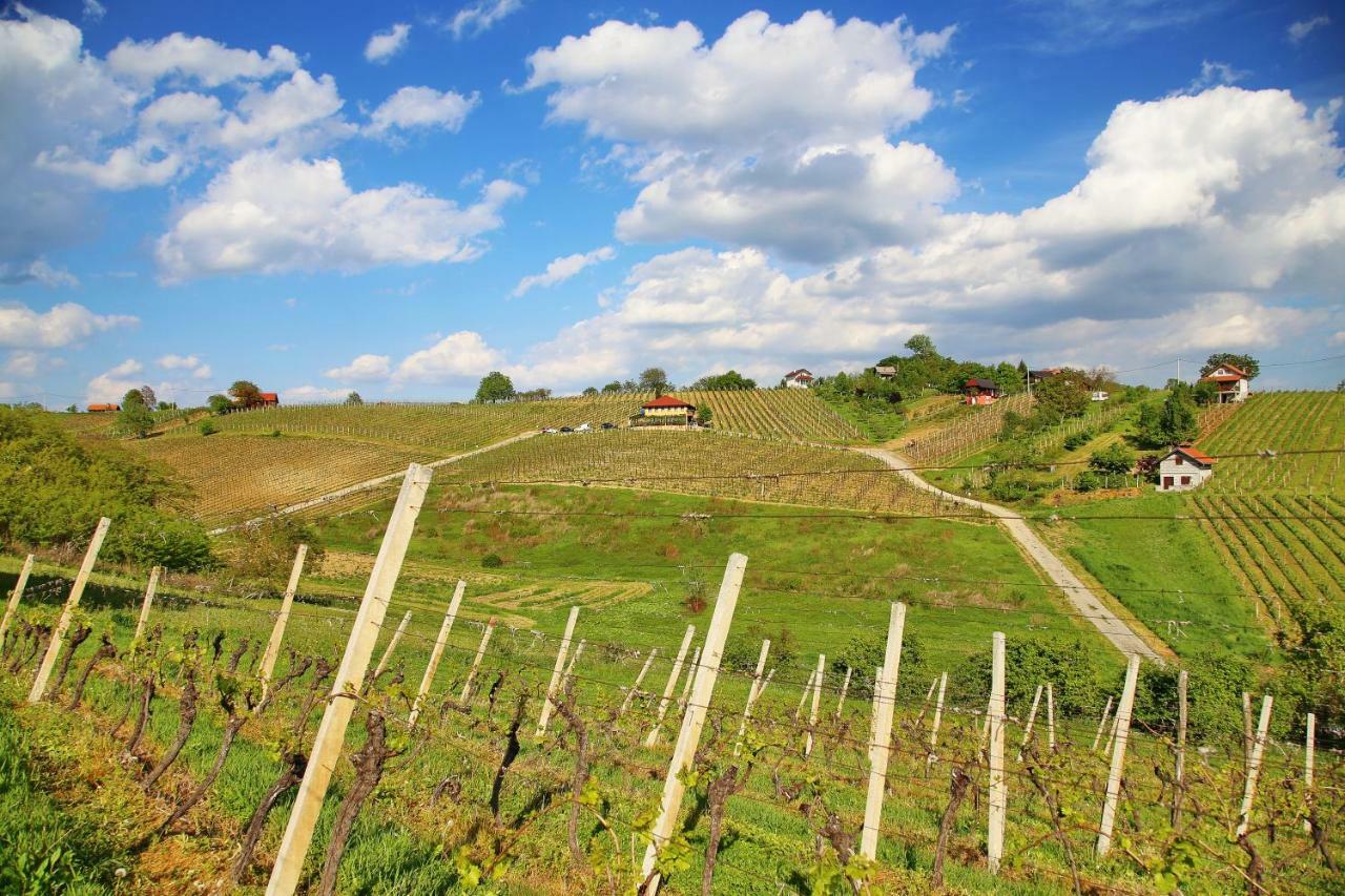 Wine Paradise Sveti Ivan Zelina Eksteriør billede
