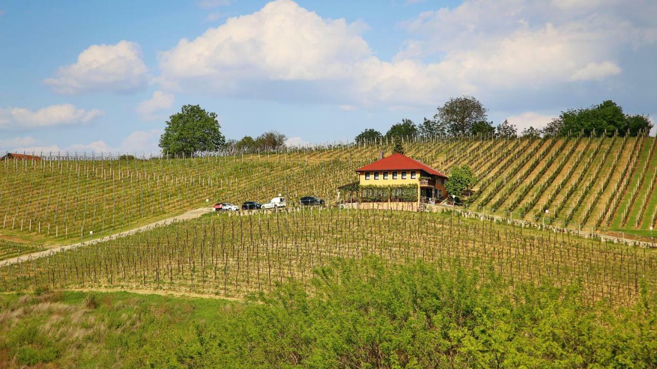 Wine Paradise Sveti Ivan Zelina Eksteriør billede